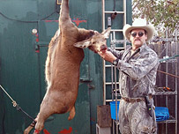Stag Hunt