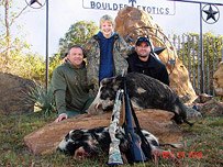 Hunting Wild Hog