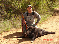 Hog Huting