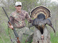 Wild Turkey