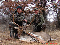 Whitetail Hunting